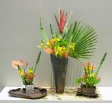 44 - Jocelyne Nolin-Levasseur.jpg 5.2K